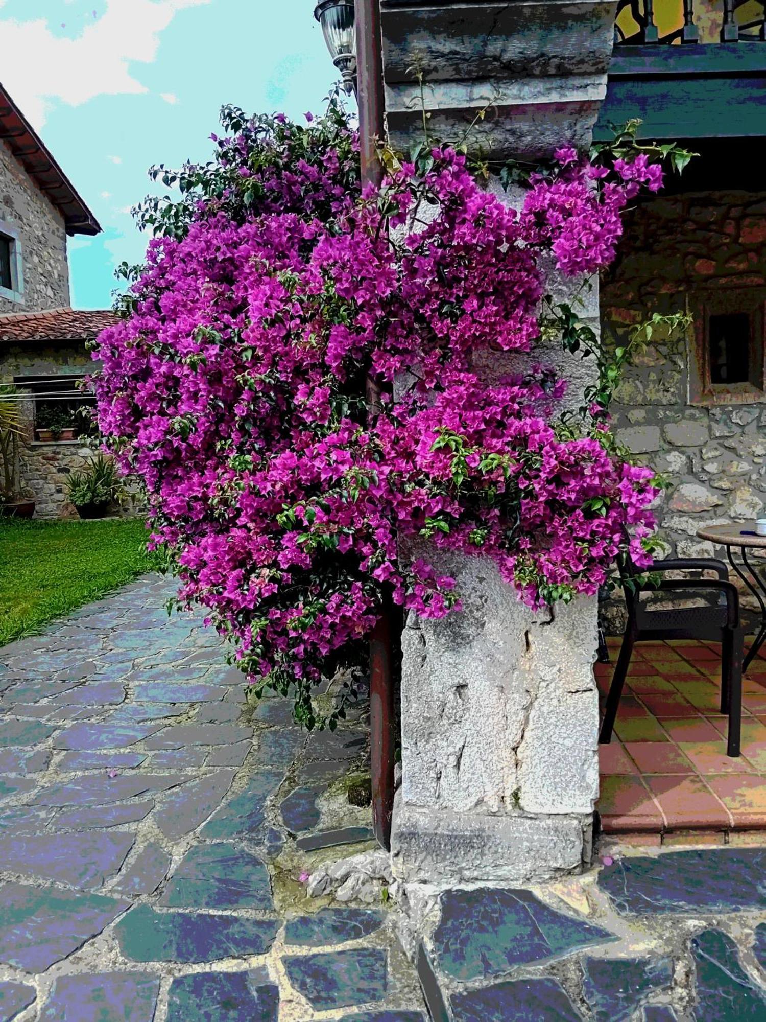 Gran Pedroso De Llanes Villa Eksteriør billede